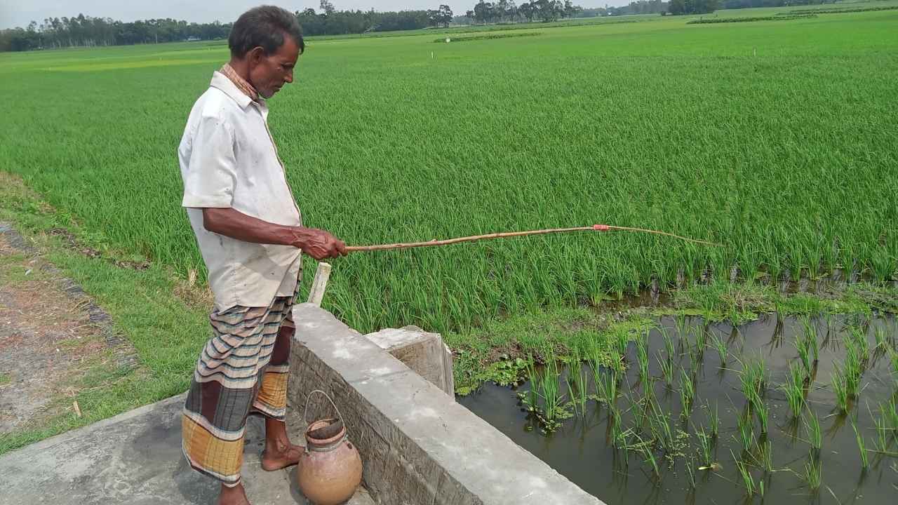Splash Image