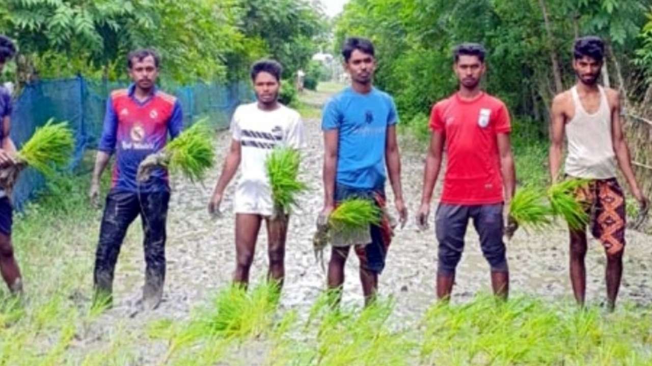 শ্যামনগরে রাস্তা সংস্কার না হওয়ায় ধান রোপন করে প্রতিবাদ