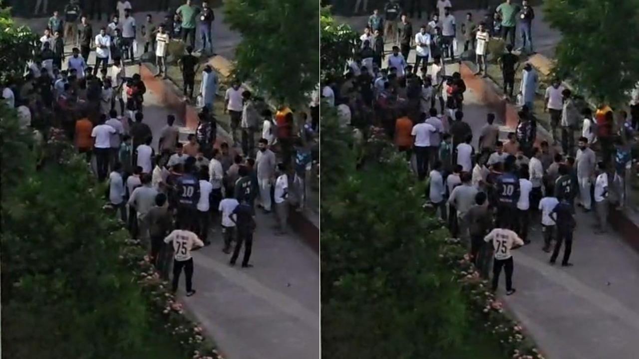 Splash Image