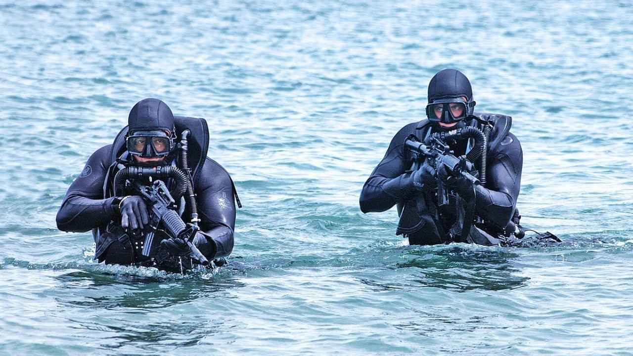 Splash Image