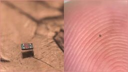 অণুজীবের সমান খুদে রোবট, চিকিৎসাবিজ্ঞানে নতুন দিগন্তের হাতছানি