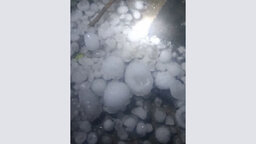 নীলফামারীতে শিলাবৃষ্টির কারনে ফল ও ফসলের ব্যাপক ক্ষতি, দুশ্চিন্তায় কৃষকেরা