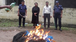 চাটখিলে দেশীয় মাছ রক্ষায় ৩৫টি অবৈধ জাল ধ্বংস