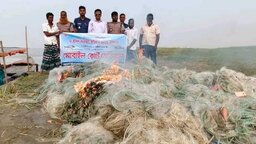 মা ইলিশ রক্ষায় পদ্মায় যৌথ অভিযান, দেড় লাখ মিটার কারেন্ট জাল জব্দ