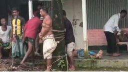 গাছের সাথে বেঁধে জামাইকে পিটালেন শ্বশুর আটক-১