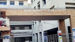 কোটালীপাড়ায় ভিমরুলের কামড়ে ৪ বছরের শিশুর করুণ মৃত্যু, এলাকায় শোকের ছায়া