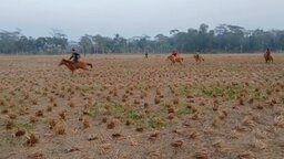 ঝালকাঠিতে গ্রামবাংলার ঐতিহ্যবাহী ঘোড়দৌড় প্রতিযোগিতা অনুষ্ঠিত