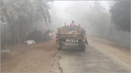 পঞ্চগড়ে চলছে মৃদু শৈত্যপ্রবাহ, বাড়ছে ঠান্ডার প্রকোপ