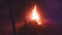 গোপালগঞ্জে গরু চুরি করে পালানোর সময় পিকআপ পুড়ে ছাই