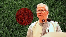 বাংলাদেশ খাদ্য নিরাপত্তায় বিশ্বে অনন্য দৃষ্টান্ত স্থাপন করেছে : প্রধান উপদেষ্টা