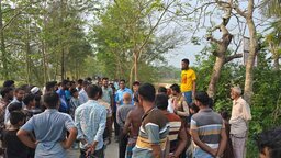 কলাপাড়ায় প্রশাসনের হস্তক্ষেপে বন্ধ হলো মহিষের লড়াই