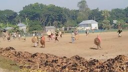 আধিপত্য নিয়ে সালথায় দুপক্ষের সংঘর্ষ, আহত অর্ধশতাধিক