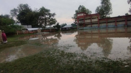 বৃষ্টির পানিতে তলিয়ে গেছে বিনোদপুর সরকারি প্রাথমিক বিদ্যালয় মাঠ,চরম দুর্ভোগে শিক্ষার্থী