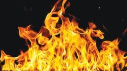 নগরকান্দায় অগ্নিকান্ডে পুড়ে গেছে ‌গৃহস্থের গরু