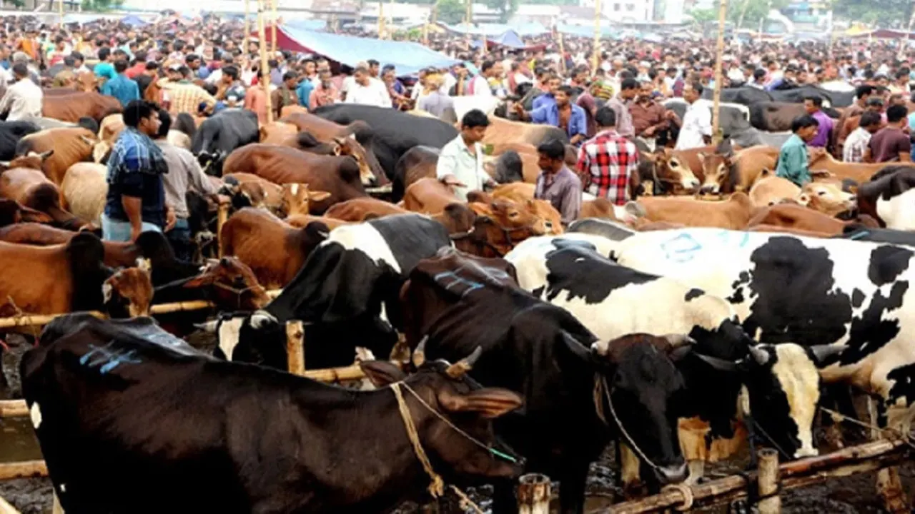 পশুর হাটে জাল নোট শনাক্তের মেশিন থাকবে : ডিএমপি কমিশনার