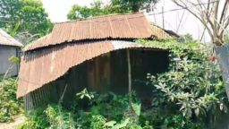 মনোহরদীতে নরেন্দ্রপুর পোস্ট অফিসের বেহাল দশা,সংস্কারের দাবি এলাকাবাসীর