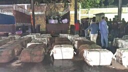 বেনাপোল স্থলবন্দরে মিথ্যা ঘোষণায় আনা মাছের চালান আটক