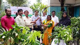 তেঁতুলিয়ায় বিনামূল্যে গাছের চারা বিতরণের শুভ উদ্বোধন