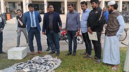 ৬০ কেজি জাটকা গেলো এতিমখানায়, পালালো ব্যবসায়ী