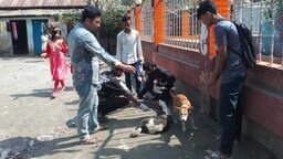 ঝালকাঠিতে ভিন্নভাবে বিশ্ব ভালোবাসা দিবস উদযাপন