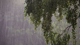 দেশের চার বিভাগে ভারী বৃষ্টির আভাস
