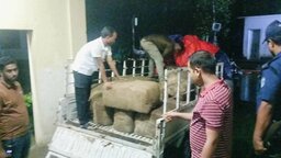 ফুলগাজীতে ৪০ লাখ টাকার ভারতীয় শাড়ি ও ওষুধসহ পিকআপ-মোটরসাইকেল জব্দ