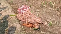 নগরকান্দায় ফসলি জমি থেকে অজ্ঞাতনামা ব্যক্তির লাশ উদ্ধার