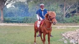 ৪৯ বছর মানুষের কবর খুঁড়ে সেবা—হাসপাতালে মনু মিয়া, আর ঘোড়াটিকে হত্যা করল দুর্বৃত্তরা!