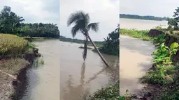 মধুমতির করাল গ্রাসে গোপালগঞ্জ সদরের গোবরা ইউনিয়ন