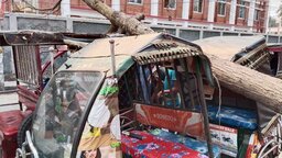 রাস্তার ওপর উপড়ে পড়ল মেহগনি গাছ, অল্পের জন্য প্রাণে রক্ষা পেলেন যাত্রীরা