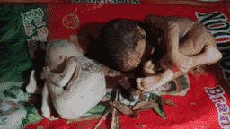বরিশালে ময়লার স্তূপ থেকে দুই নবজাতকের মরদেহ উদ্ধার