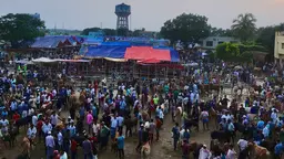 বৃষ্টির মধ্যেও জমজমাট ব্রাহ্মণবাড়িয়ার পশুর হাট, দাম নিয়ে দোটানায় ক্রেতারা