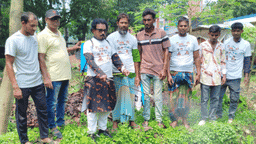 সাতক্ষীরায় ডেঙ্গু প্রতিরোধে দুদিনব্যাপী পরিচ্ছন্নতা ও সচেতনতা কর্মসূচি শুরু