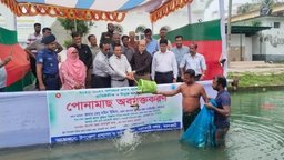 ঝালকাঠিতে ৩৬ জলাশয়ে অবমুক্ত হবে ৩৩ কেজি পোনা