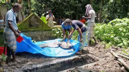 দাফনের ২ মাস পর  ময়নাতদন্তের জন্য লাশ  উত্তোলন