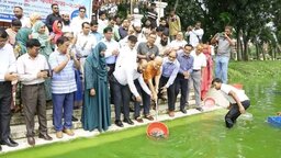 বাকৃবিতে মৎস্য অধিদপ্তরের উদ্যোগে পোনামাছ অবমুক্তি কার্যক্রমের উদ্বোধন