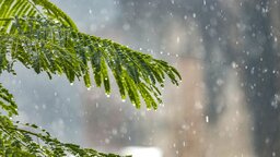 দেশের বেশ কিছু স্থানে বৃষ্টির সম্ভাবনা