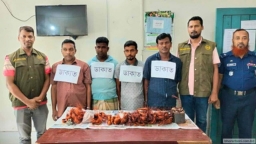 ডিবি পুলিশের হাতকড়ায় ডাকাত দলের ৫ সদস্য