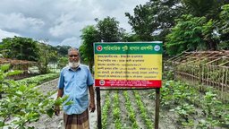 কোটালীপাড়ায় পারিবারিক পুষ্টিবাগান, ক্ষুদ্র জমিতে বাড়ছে পুষ্টি ও আয়