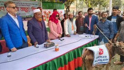 বিকল্প কর্মসংস্থানের লক্ষে বাকেরগঞ্জে ৬০ জেলের মাঝে বকনা বাছুর বিতরণ