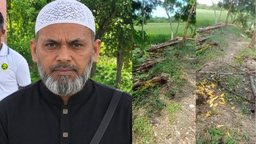 ঝালকাঠিতে বিভিন্ন প্রজাতির ফলদ গাছ কাটার অভিযোগ বিএনপি নেতার বিরুদ্ধে