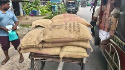 নিয়ম বহির্ভূতভাবে দুস্থ নারীদের চাল বিতরণ করছেন চেয়ারম্যান, জানেন না কর্মকর্তারা