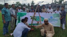 ছাত্রশিবিরের চারা বিতরণ ও বৃক্ষরোপণ কর্মসূচি
