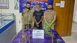 গোপালগঞ্জে গাঁজা চাষের অভিযোগে গ্রেপ্তার ১, দুটি গাছ জব্দ