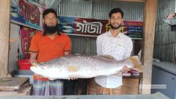 কুয়াকাটায় জেলের জালে ২৪ কেজির কোরাল