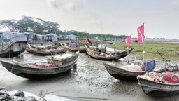 দুই মাস মাছ ধরায় নিষেধাজ্ঞা, বিপাকে লালমোহনের জেলেরা