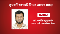 বৈশ্বিক জ্বালানি সংকট মোকাবেলায় দিনের আলো সঞ্চয়: জনগণের অংশগ্রহণ কেন জরুরি