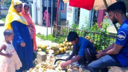 তীব্র গরমে স্বস্তির নাম তালের শাঁস