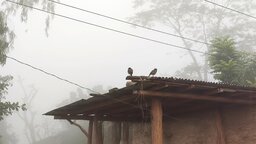 পাথরঘাটায় তীব্র শীত ও ঘন কুয়াশায় জনজীবন বিপর্যস্ত