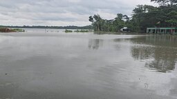 বিষখালী নদীর পেটে যাচ্ছে নলছিটির ৪টি বিদ্যালয়, আতঙ্কে সাত শতাধিক শিক্ষার্থী